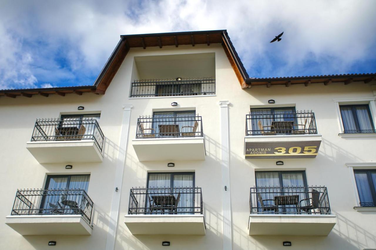 Adonis Apartman 305 Zlatibor Luaran gambar